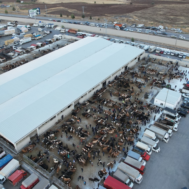 Çubuk Kaymakamı Bakır ve Belediye Başkanı Demirbaş canlı hayvan pazarını zi...