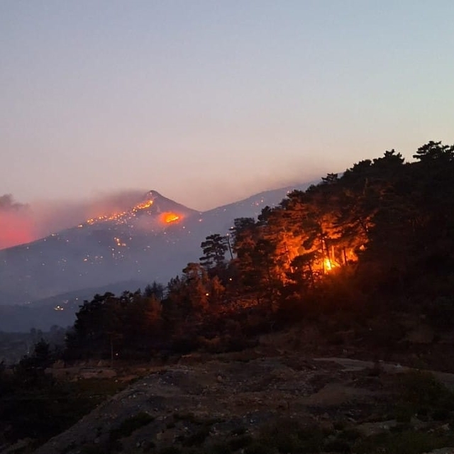 Silifke'deki orman yangınına ilişkin 4'ü tutuklu 7 sanık hakim karşısında