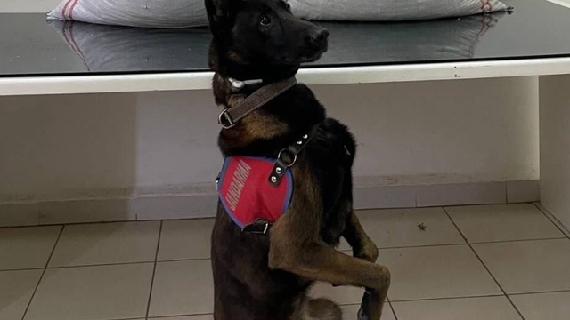 Erzurum'da uyuşturucu operasyonunda 32 kilo uyuşturucu ele geçirildi