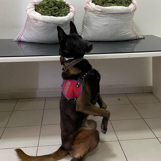 Erzurum'da uyuşturucu operasyonunda 32 kilo uyuşturucu ele geçirildi