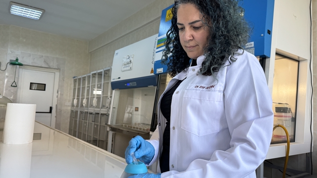 Bor kullanılarak geliştirilecek yara örtüsü diyabetik yaraların daha hızlı iyileşmesini sağlayacak