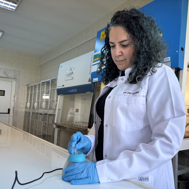 Bor kullanılarak geliştirilecek yara örtüsü diyabetik yaraların daha hızlı...