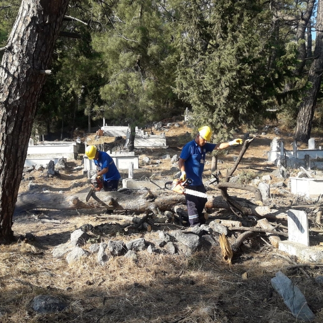 Muğla'da temizlenen mezarlıklardan elde edilen odunlar ihtiyaç sahiplerine...
