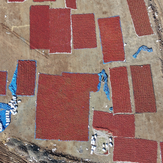 Kilis'te pul biber mesaisi