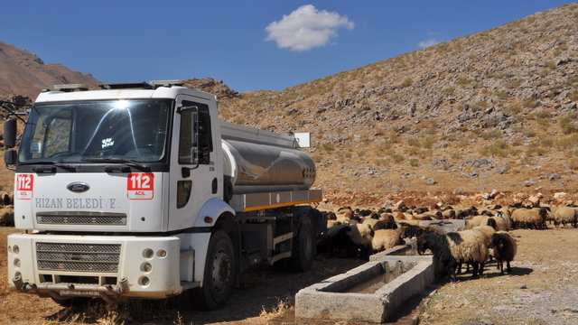 Bitlis'te kırsalda susuz kalan koyunlara belediye ekipleri tankerle su taşıdı