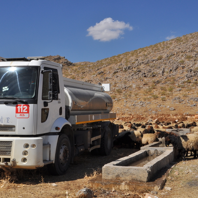 Bitlis'te kırsalda susuz kalan koyunlara belediye ekipleri tankerle su taşı...