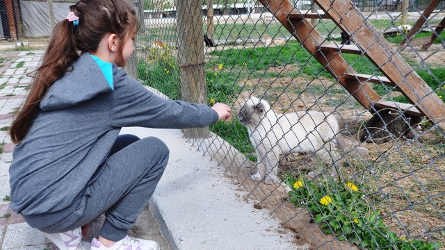Kütahya Valisi Işın'a hayvanseverlerden hediye
