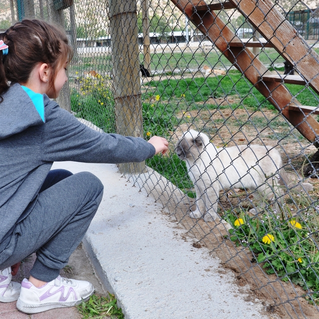 Kütahya Valisi Işın'a hayvanseverlerden hediye