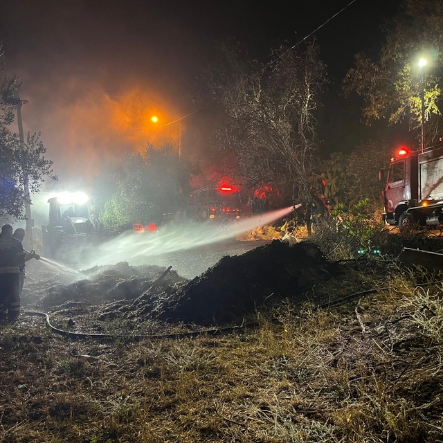 Muğla'da ahırda çıkan yangında 6 koyun telef oldu