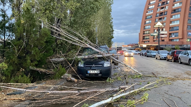 Eskişehir'de sağanakta ağaçtan kopan dallar, park halindeki aracın üzerine düştü