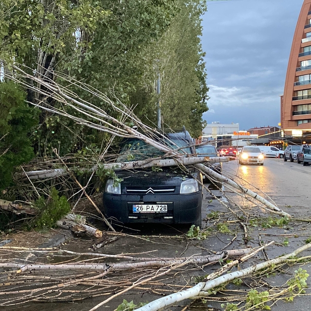 Eskişehir'de sağanakta ağaçtan kopan dallar, park halindeki aracın üzerine...