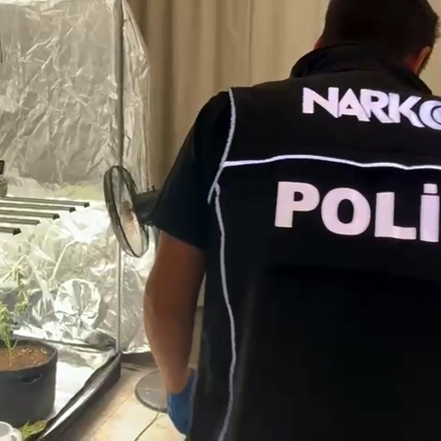 Yatak odasına kurduğu serada kenevir yetiştiren şüpheli: Evi tanımadığım bi...