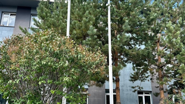 'Bir kere yükselen bayrak bir daha inmez' diyerek Filistin bayrağını göndere çektiler