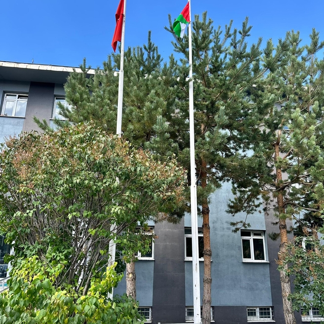 'Bir kere yükselen bayrak bir daha inmez' diyerek Filistin bayrağını gönder...