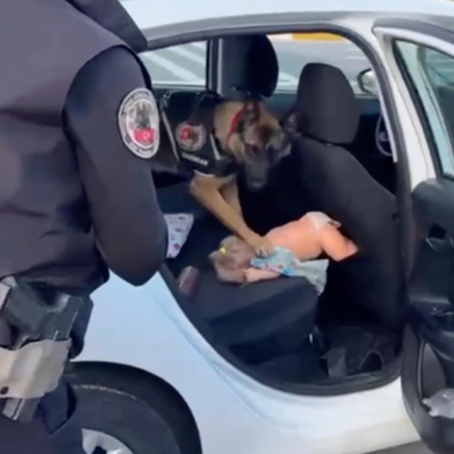 Oyuncak bebek içerisinden uyuşturucu çıktı