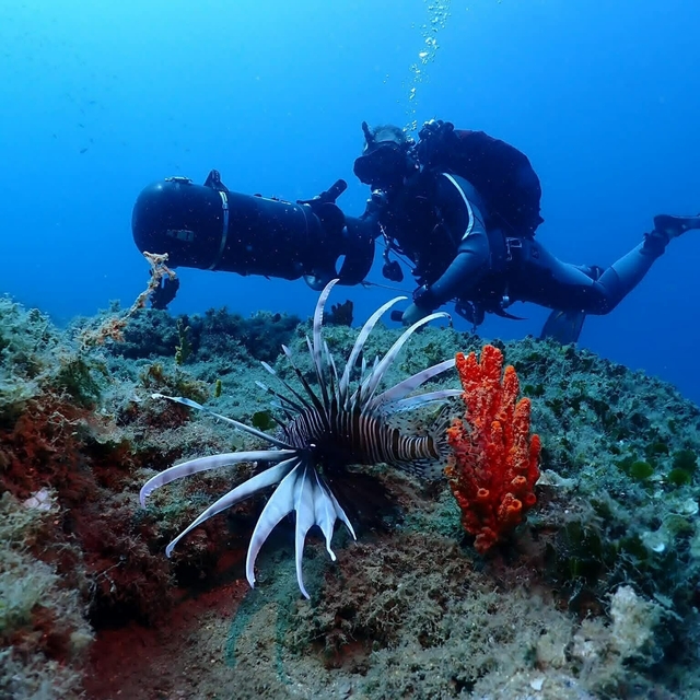 Kuşadası'nın sualtı dünyası, dalış tutkunlarının gözdesi oldu