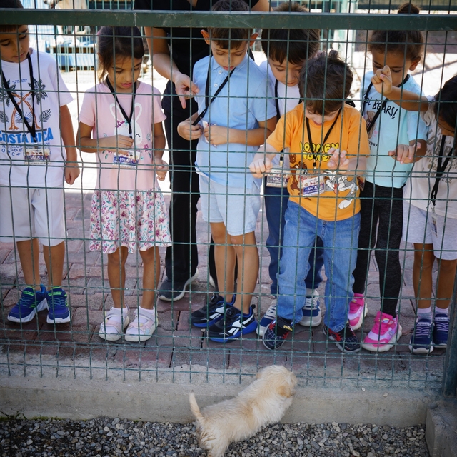 Konyaaltı'nda çocuklar Sokak Hayvanları Sağlık ve Rehabilitasyon Merkezi'ni...
