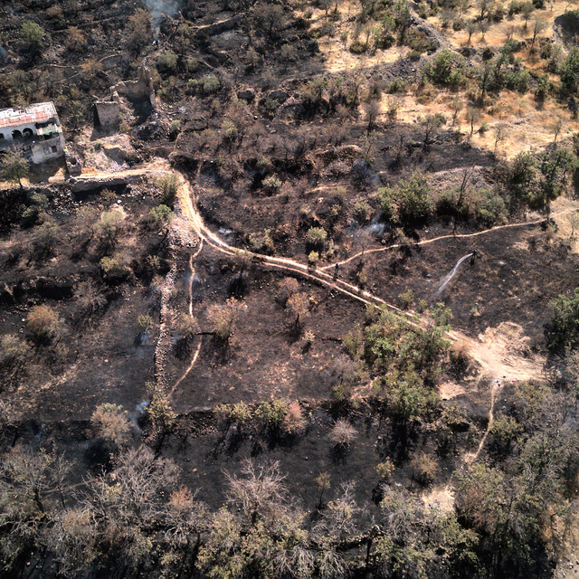 Patlıcan ve biber közlerken dağdaki otluk araziyi yaktı