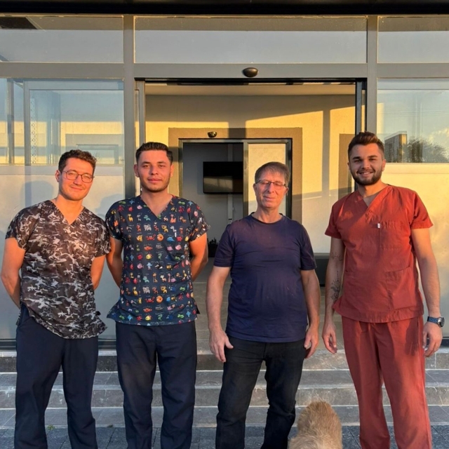 Balıkesir'de ameliyata alınan sahipsiz köpeğin idrar kesesinden 147 taş çık...