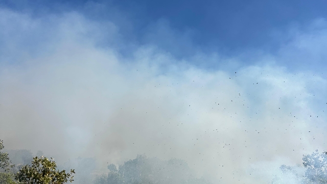 Diyarbakır'da çıkan örtü yangınına müdahale ediliyor