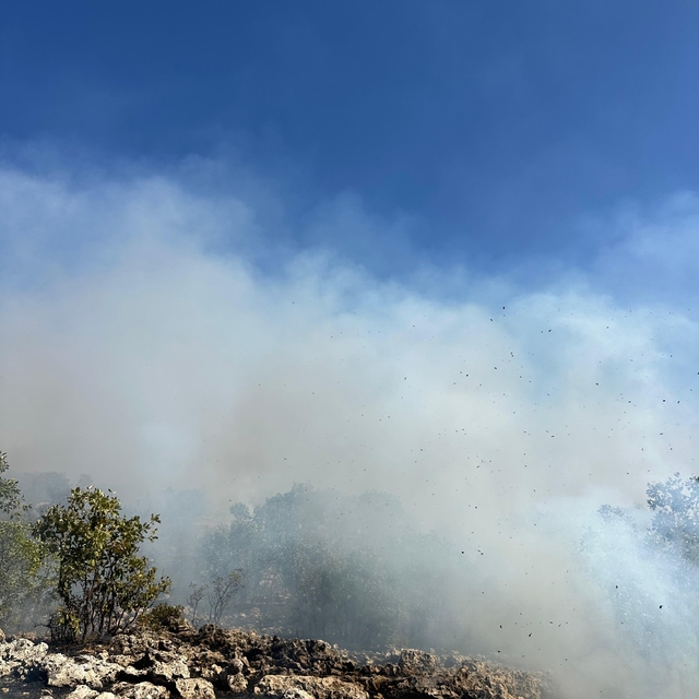 Diyarbakır'da çıkan örtü yangınına müdahale ediliyor