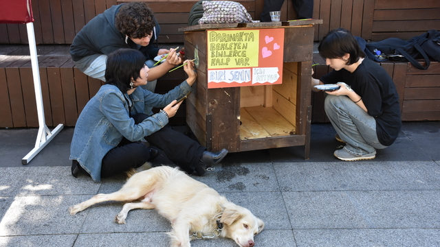 Trabzon'da öğrenciler "Dünya Hayvanları Koruma Günü"nde köpek kulübelerini renklendirdi