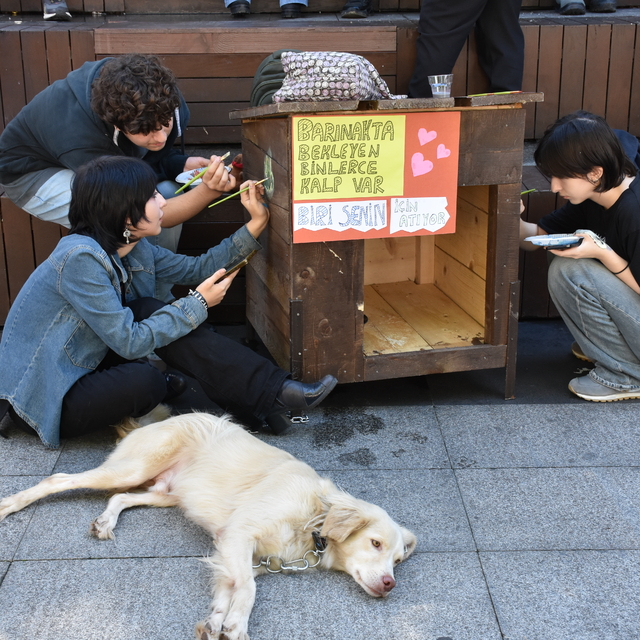 Trabzon'da öğrenciler "Dünya Hayvanları Koruma Günü"nde köpek kulübelerini...