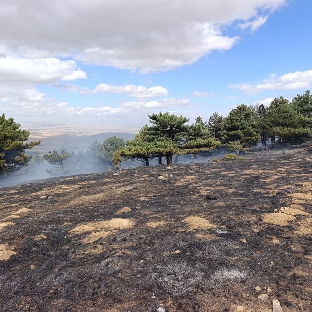 Konya'da orman yangını kontrol altında