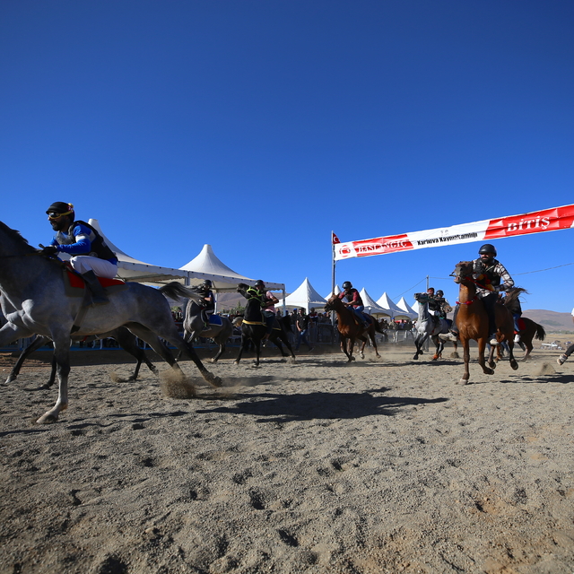 Bingöl'de geleneksel Toklular at yarışları yapıldı