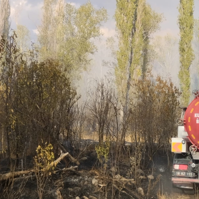 Çankırı'da bahçelik alanda çıkan yangın söndürüldü