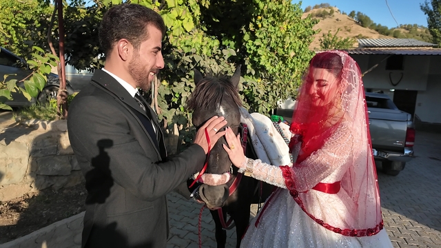 Şırnak'ta atla gelin alma geleneği yaşatılıyor
