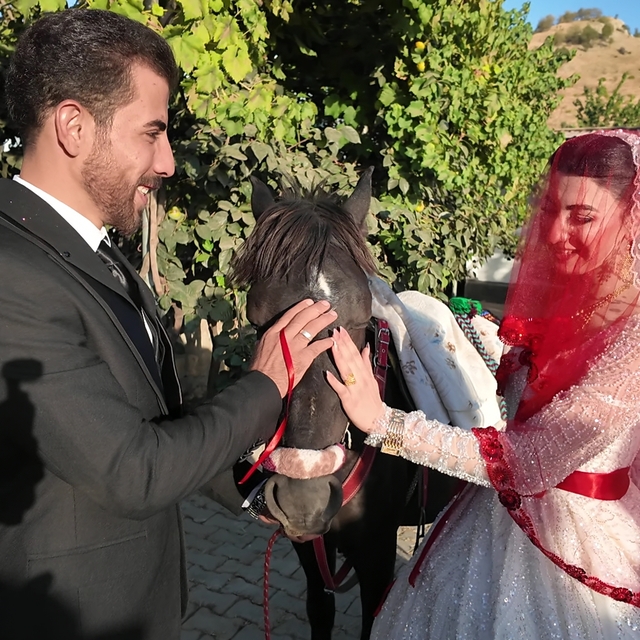 Şırnak'ta atla gelin alma geleneği yaşatılıyor