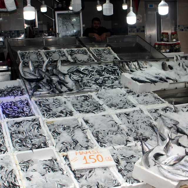 Sinop'ta balıkçı tezgahları hamsiyle doldu