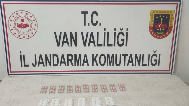 Van'da uyuşturucu hapla yakalanan İran uyruklu şüpheli tutuklandı