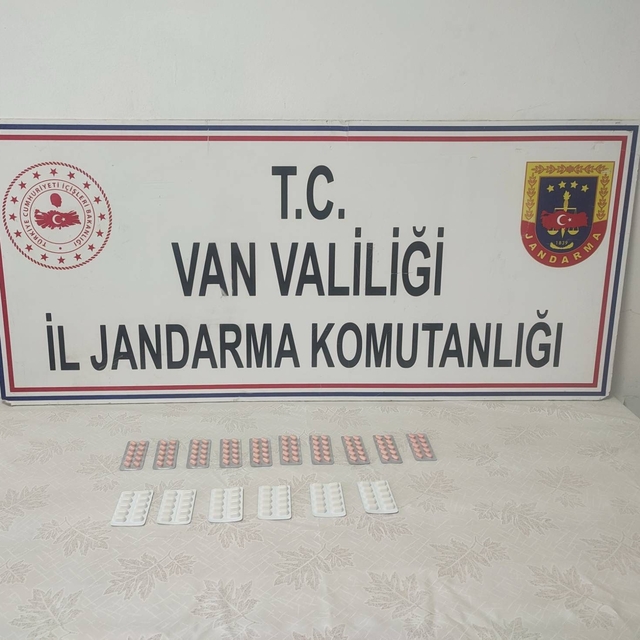 Van'da uyuşturucu hapla yakalanan İran uyruklu şüpheli tutuklandı