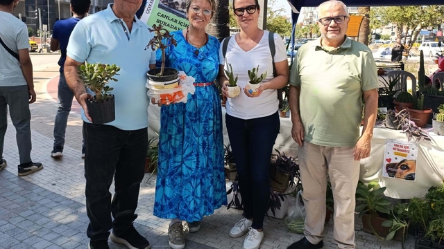 Emekli öğretmenden sokak hayvanları için destek kermesi