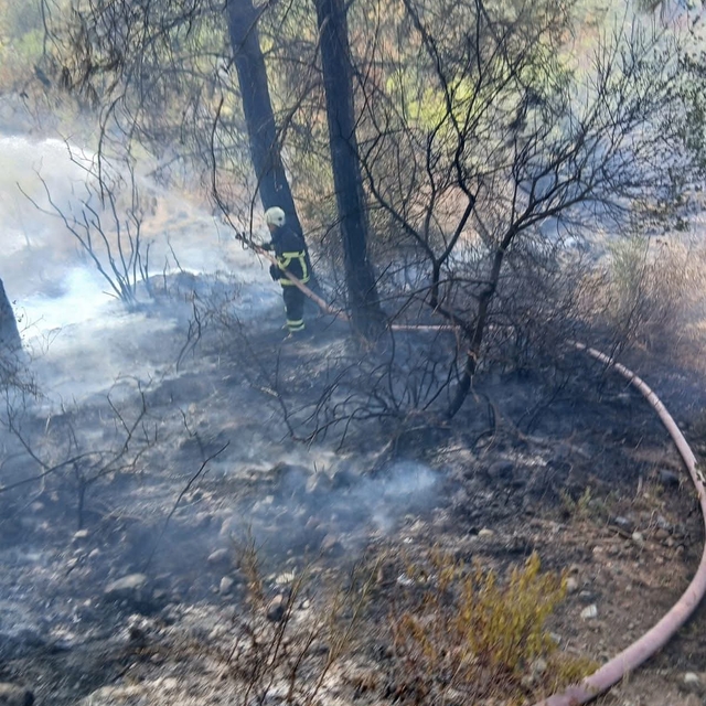 Erzin ilçesinde çıkan orman yangını söndürüldü