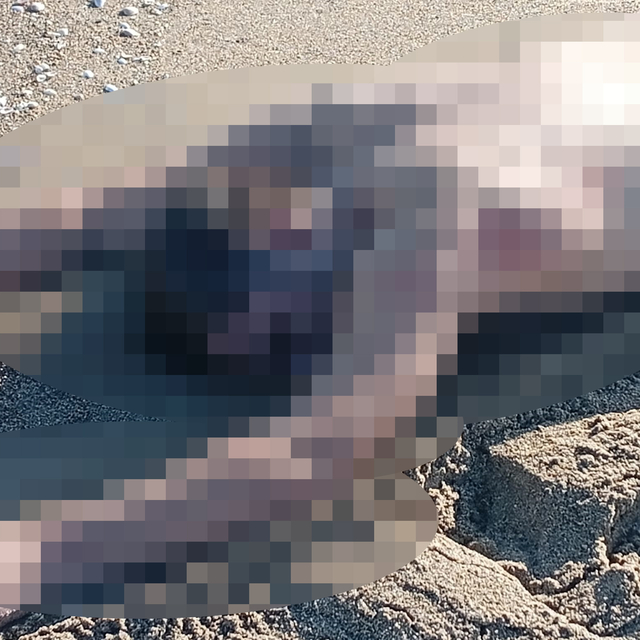 Karasu'da kumsalda çıplak erkek cesedi bulundu