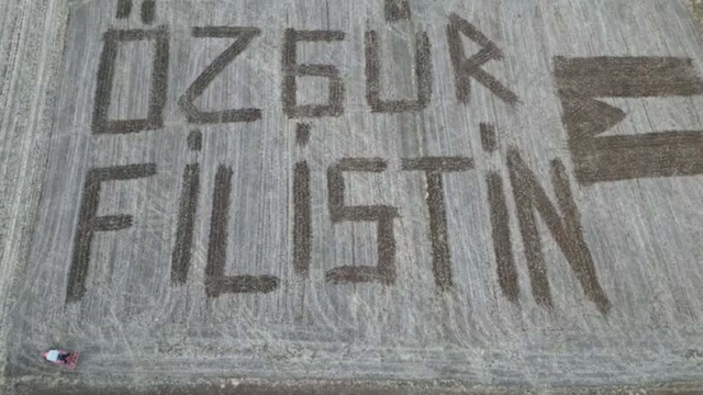 Traktör ile tarlalarına 'Özgür Filistin' yazdılar