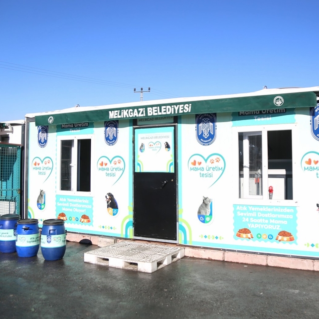 Kayseri'de yemek artıkları Melikgazi Belediyesince kedi ve köpekler için ku...