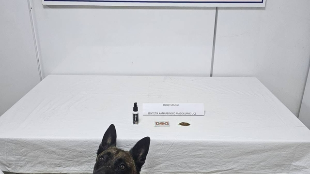 Şırnak'ta kaçakçılık ve asayiş operasyonlarında 75 şüpheliye işlem yapıldı