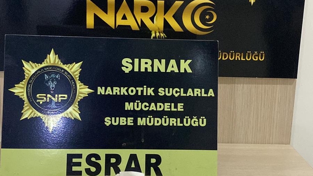 Şırnak'ta kaçakçılık operasyonlarında yakalanan 4 şüpheli tutuklandı