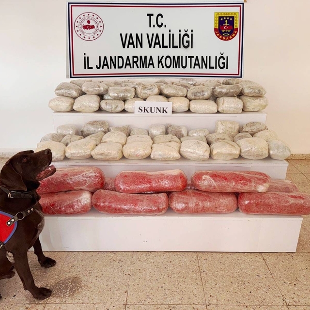 Van'da arazide 61 kilo skunk ele geçirildi; 1 gözaltı