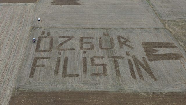 Çanakkaleli çiftçi Filistin'e destek için tarlasına traktörle "Özgür Filistin" yazdı