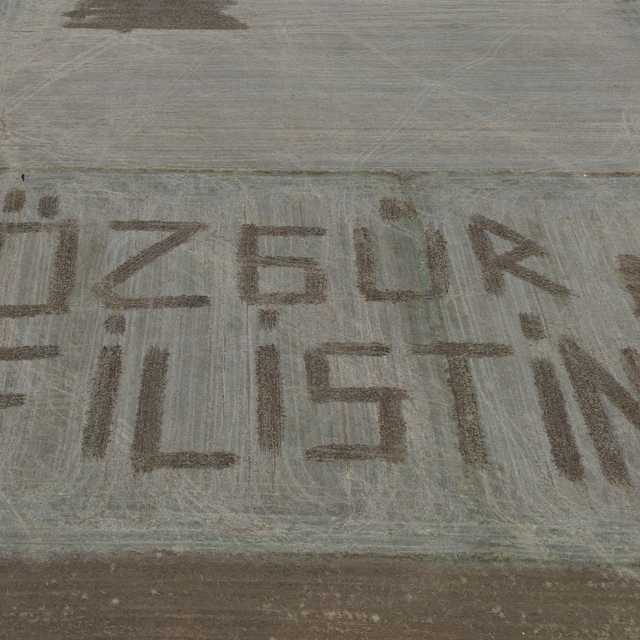 Çanakkaleli çiftçi Filistin'e destek için tarlasına traktörle "Özgür Filist...