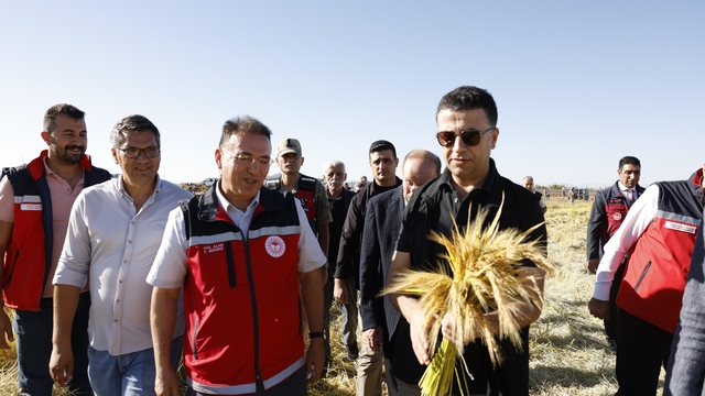 Diyarbakır'da tescilli Karacadağ pirincinde hasat sezonu