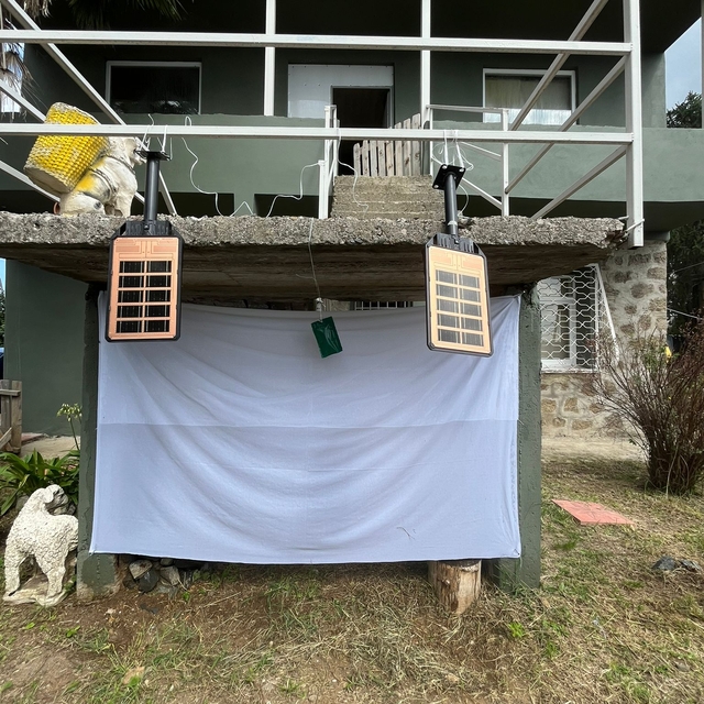 Trabzon ve Ordu'da kahverengi kokarcayla mücadele devam ediyor