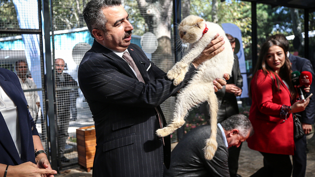 Bursa'da sahipsiz hayvanlar için merkez açıldı