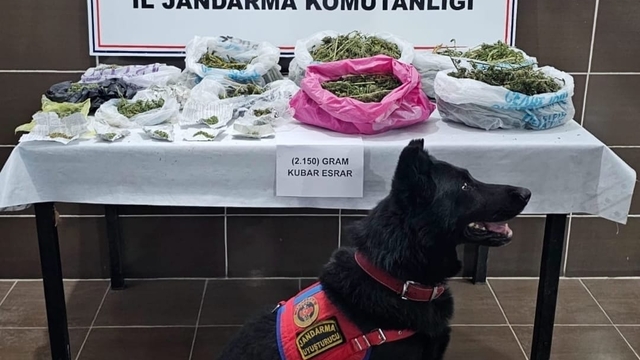 Muş'ta uyuşturucu operasyonunda 2 kilo 150 gram esrar ele geçirildi