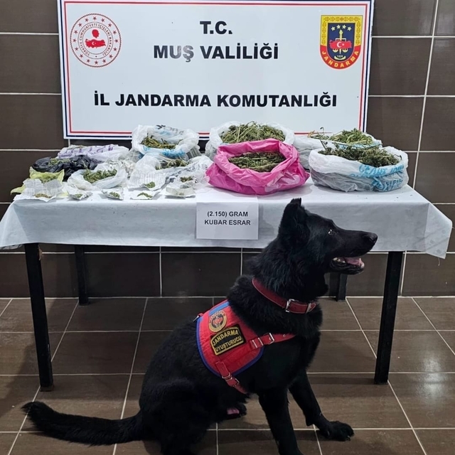 Muş'ta uyuşturucu operasyonunda 2 kilo 150 gram esrar ele geçirildi